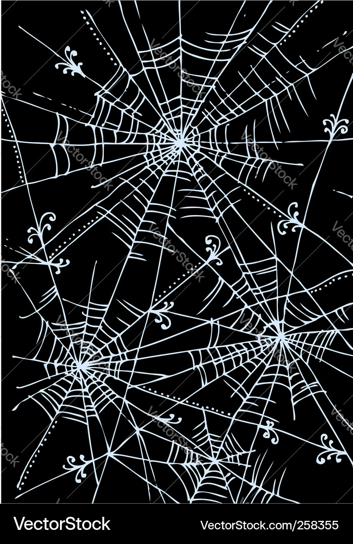 Spider web background Vector Image