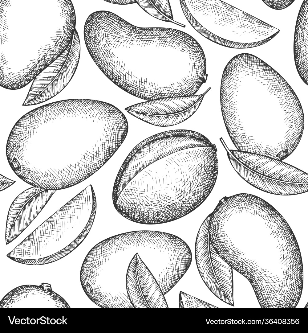Hand drawn sketch style mango seamless pattern Hand drawn sketch style mango seamless pattern vector image