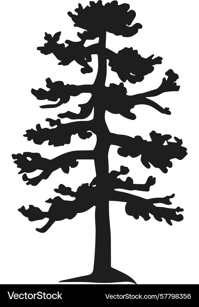 Silhouette of abstract pine tree unique Vector Image