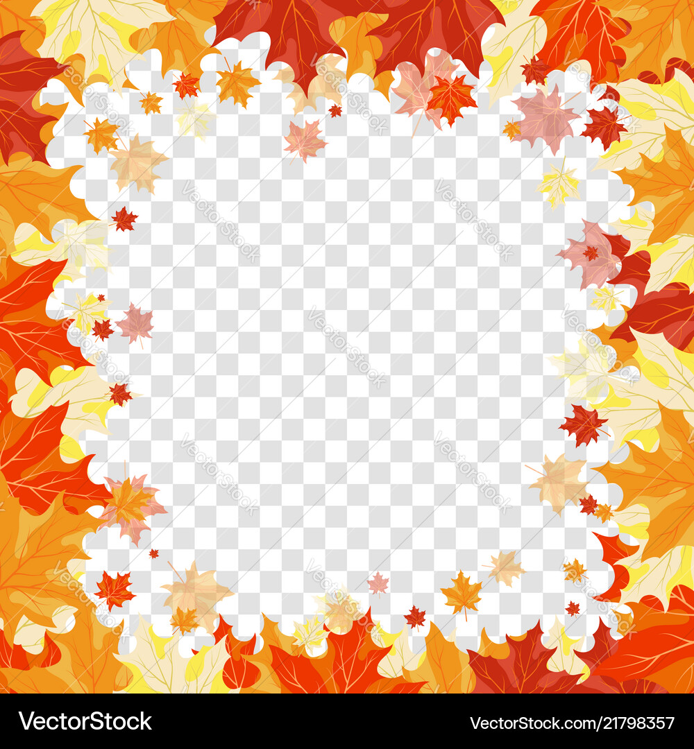 Maple leaves on transparency grid Maple leaves on transparency grid vector image