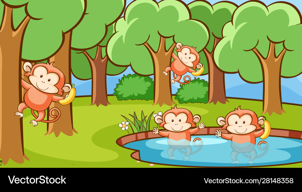 Scene with monkeys in forest Vector Image