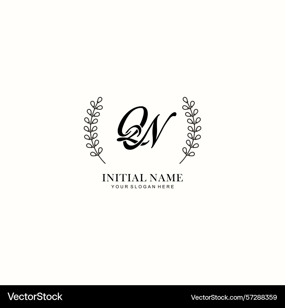 Qn initial logo templates with botanical elements Qn initial logo templates with botanical elements Vector Image