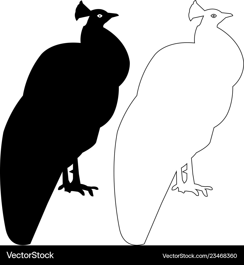 Peacock Silhouette Icon - Elegant Outline Vector Image