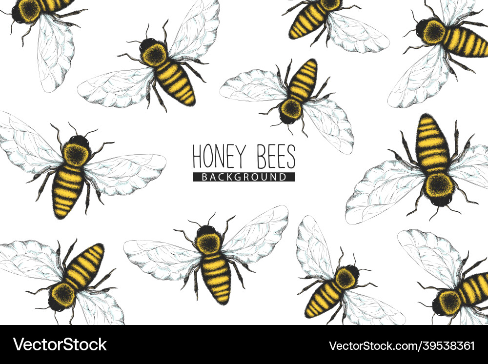 Honey Bee Pattern Background Vector Image