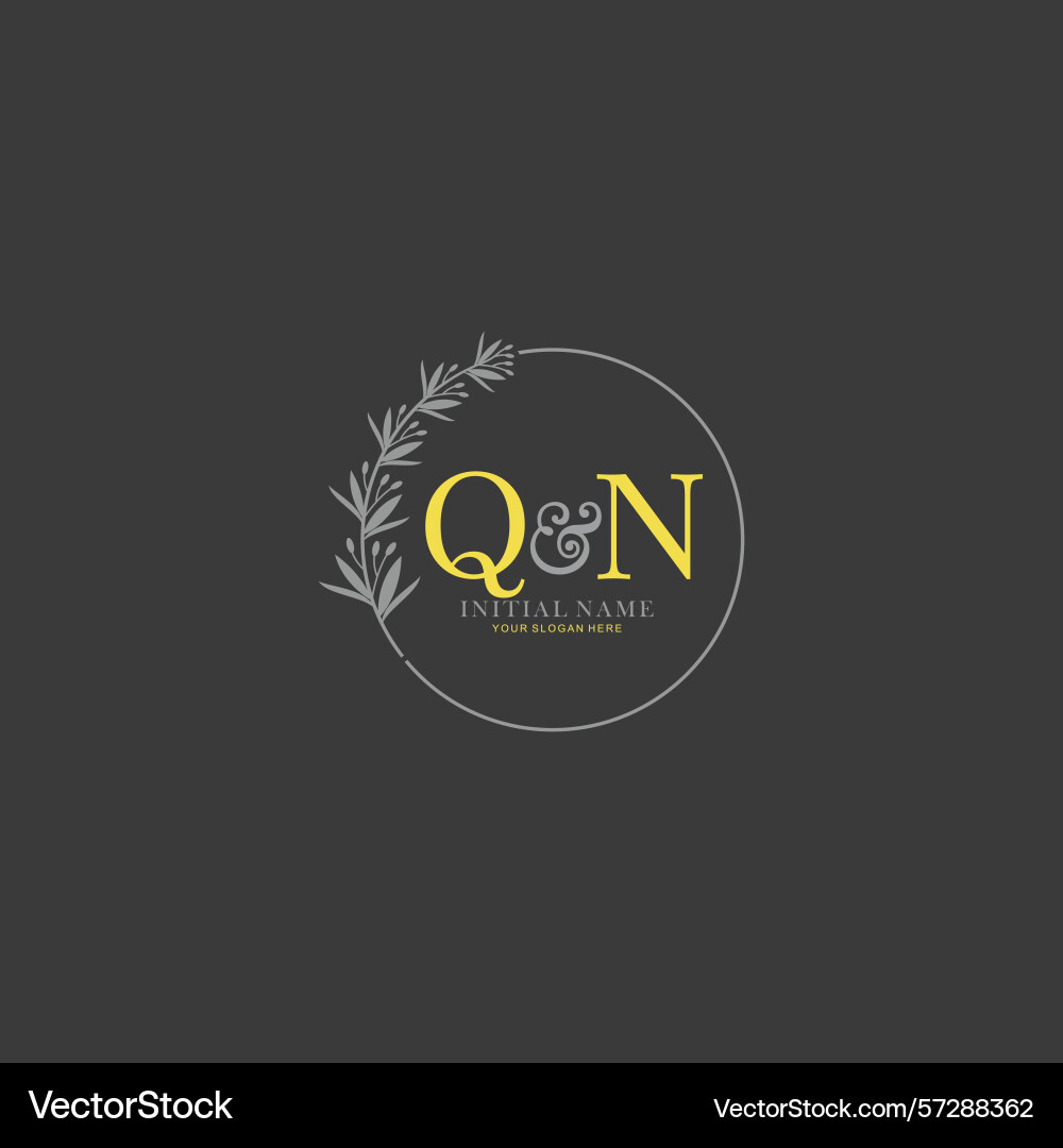 Qn initial logo templates with botanical elements Qn initial logo templates with botanical elements vector image