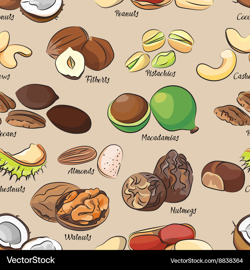 Collection of different nuts pattern Vector Image