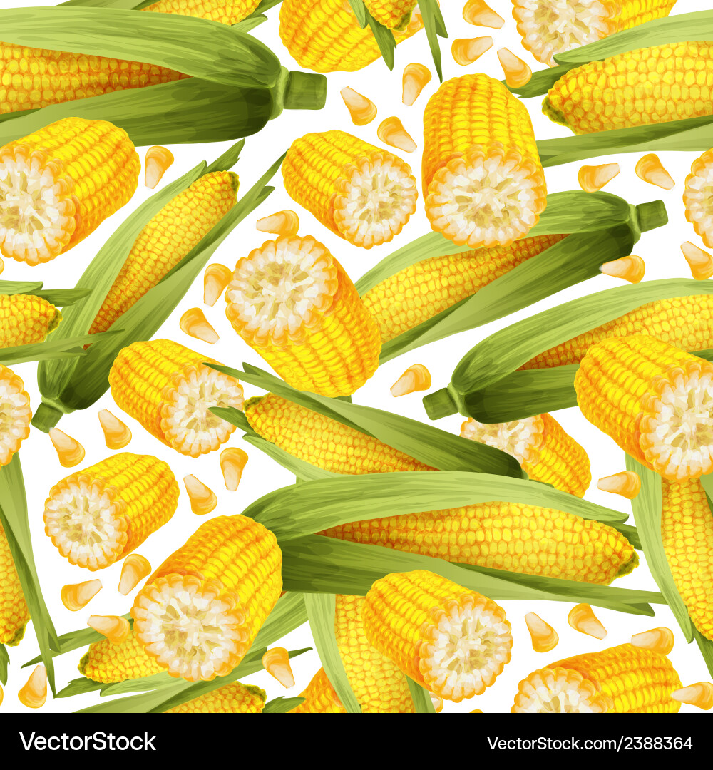Corn Seamless Pattern - Rustic Vector Image