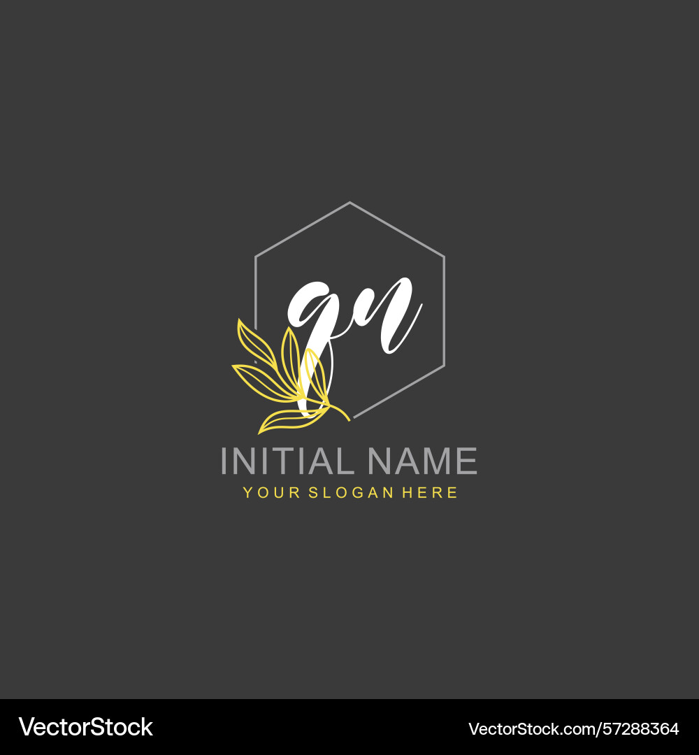 Qn initial logo templates with botanical elements Vector Image