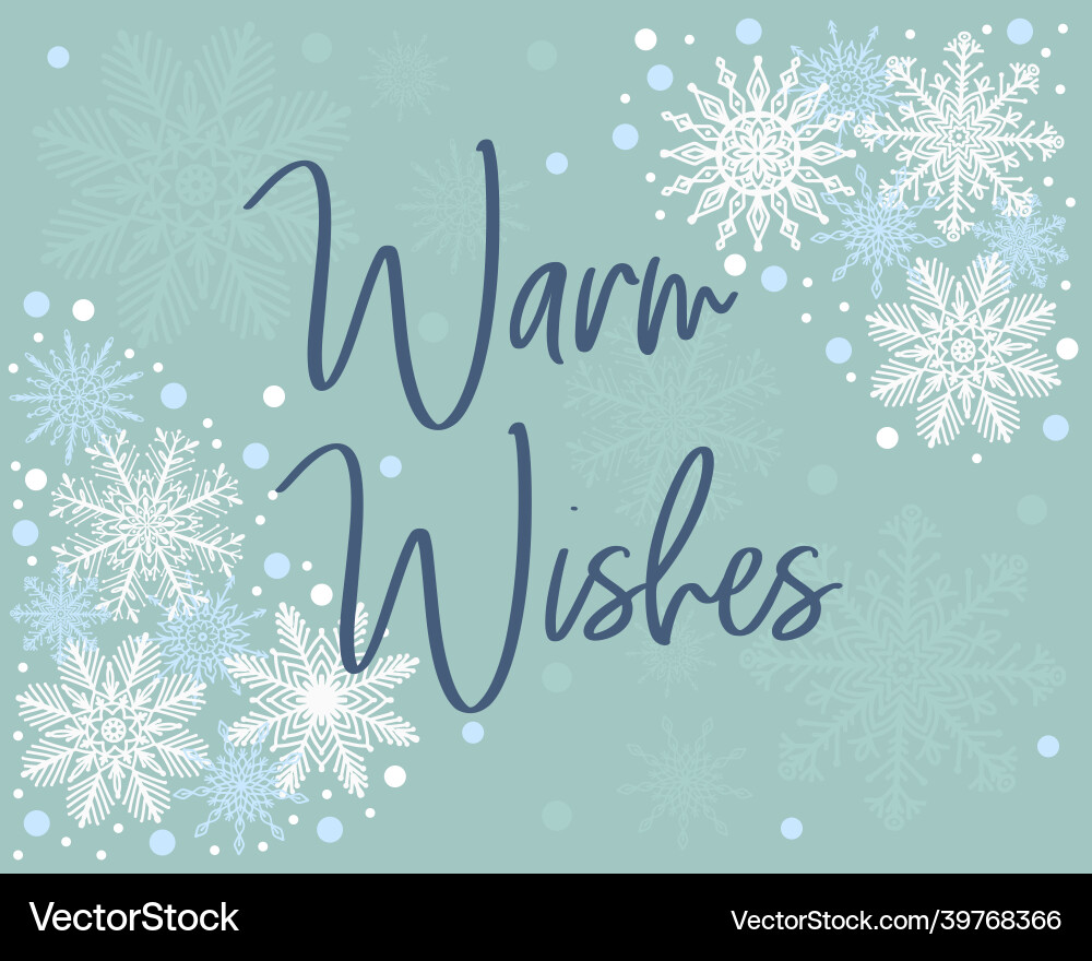 Elegant christmas greeting card merry Elegant christmas greeting card merry vector image