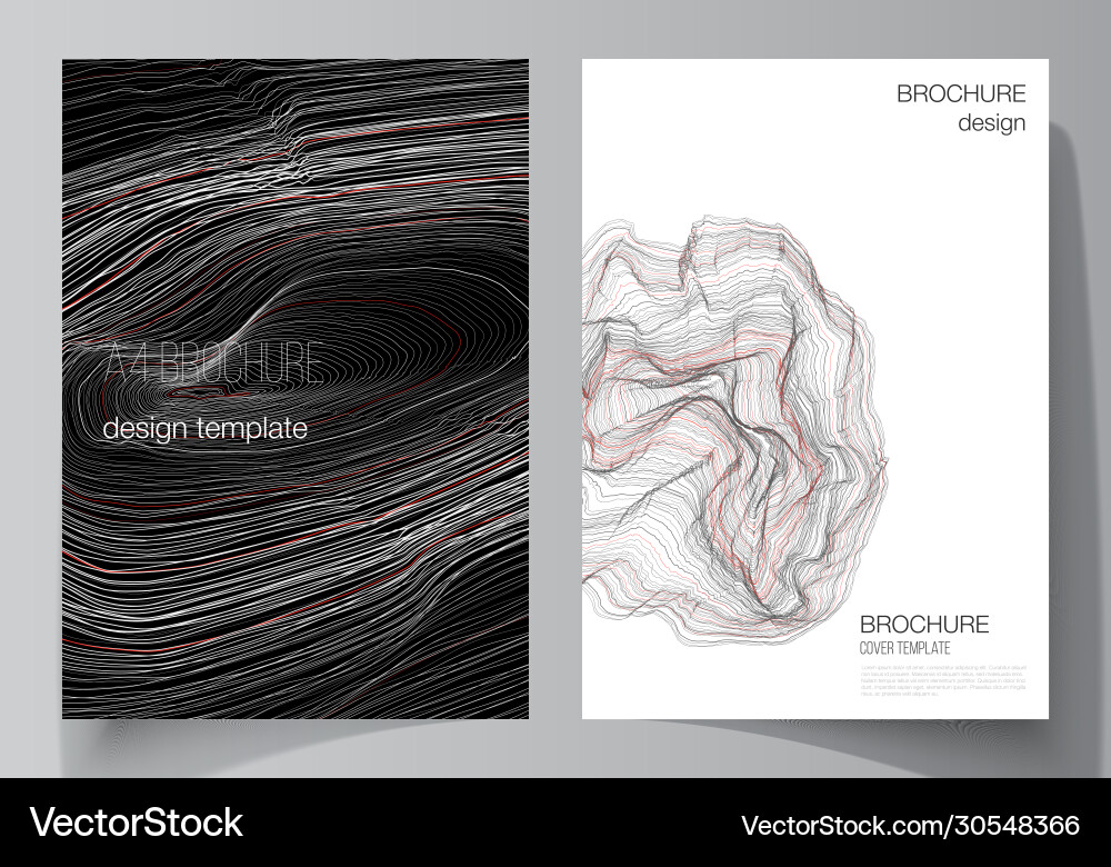 Layout a4 format modern Vector Image