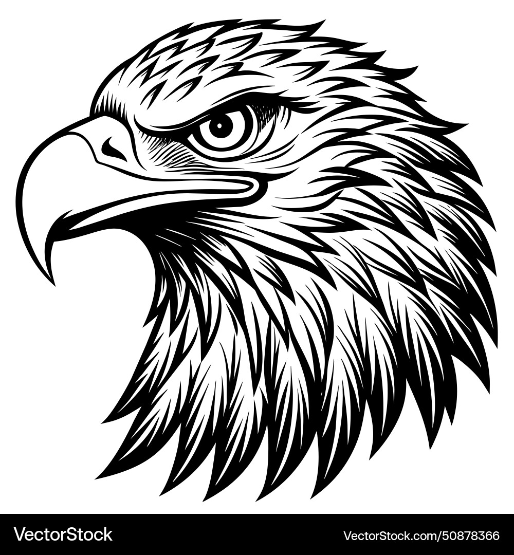 Tattoos eagles head Royalty Free Vector Image - VectorStock