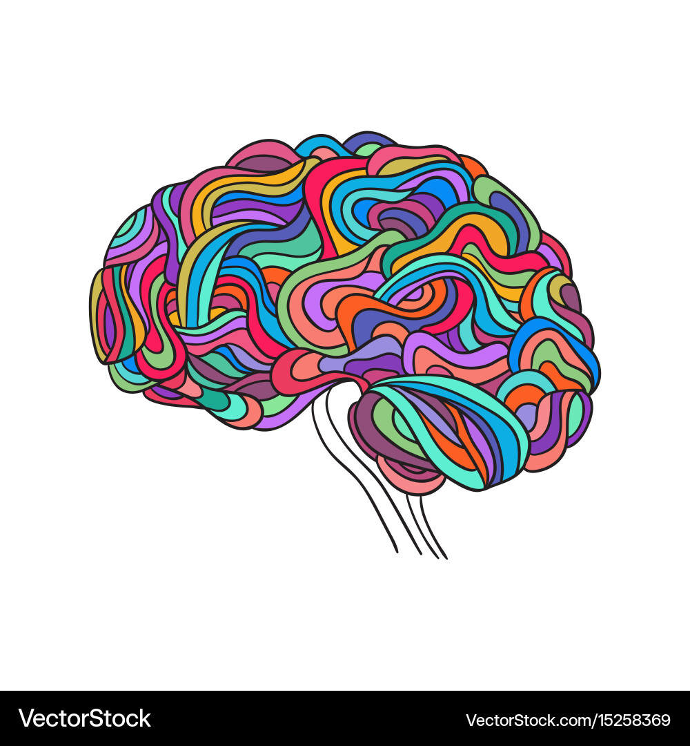 Human brain Royalty Free Vector Image - VectorStock