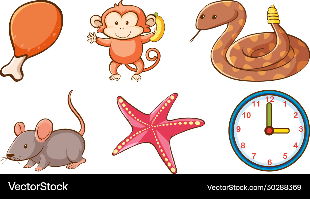 Large set different animals and other objects Large set different animals and other objects vector image