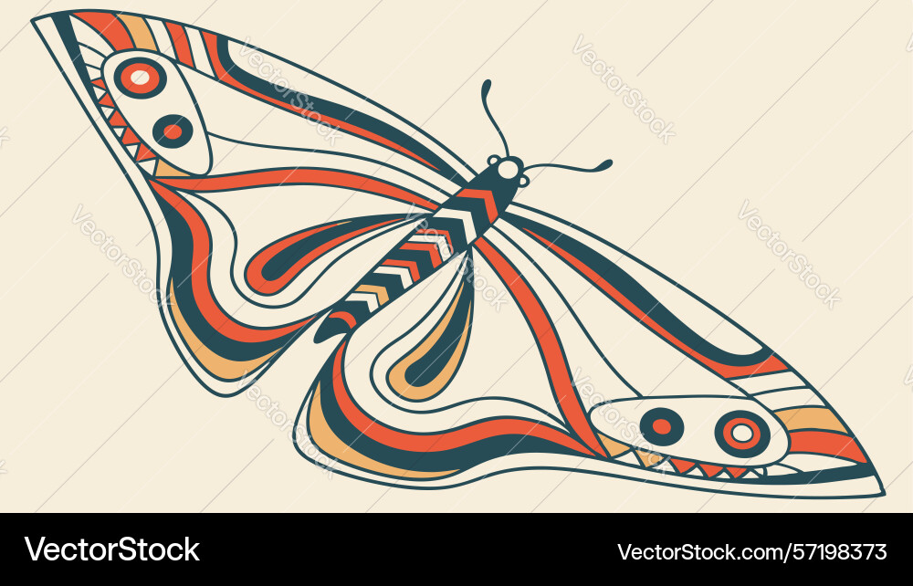 Detailed moth with abstract patterns intricate Vector Image