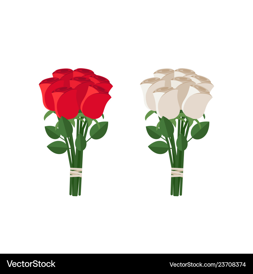 Elegant Rose Bouquets Vector Image