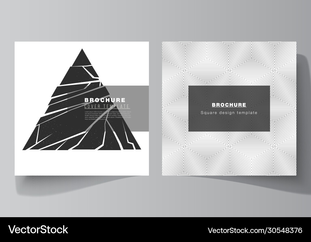 Minimal layout two square Vector Image