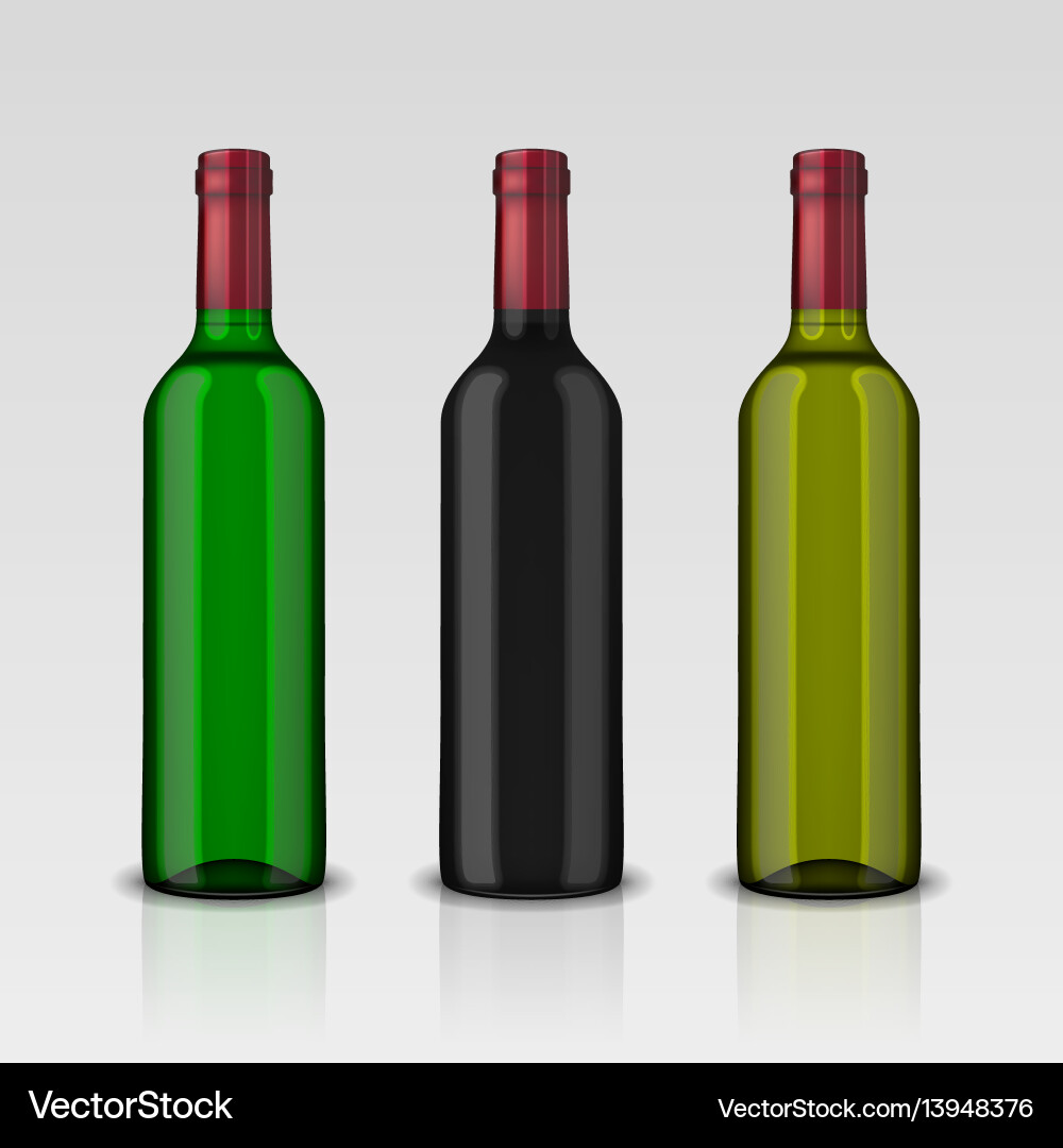 Set 3 realistic bottles of wine without Set 3 realistic bottles of wine without vector image