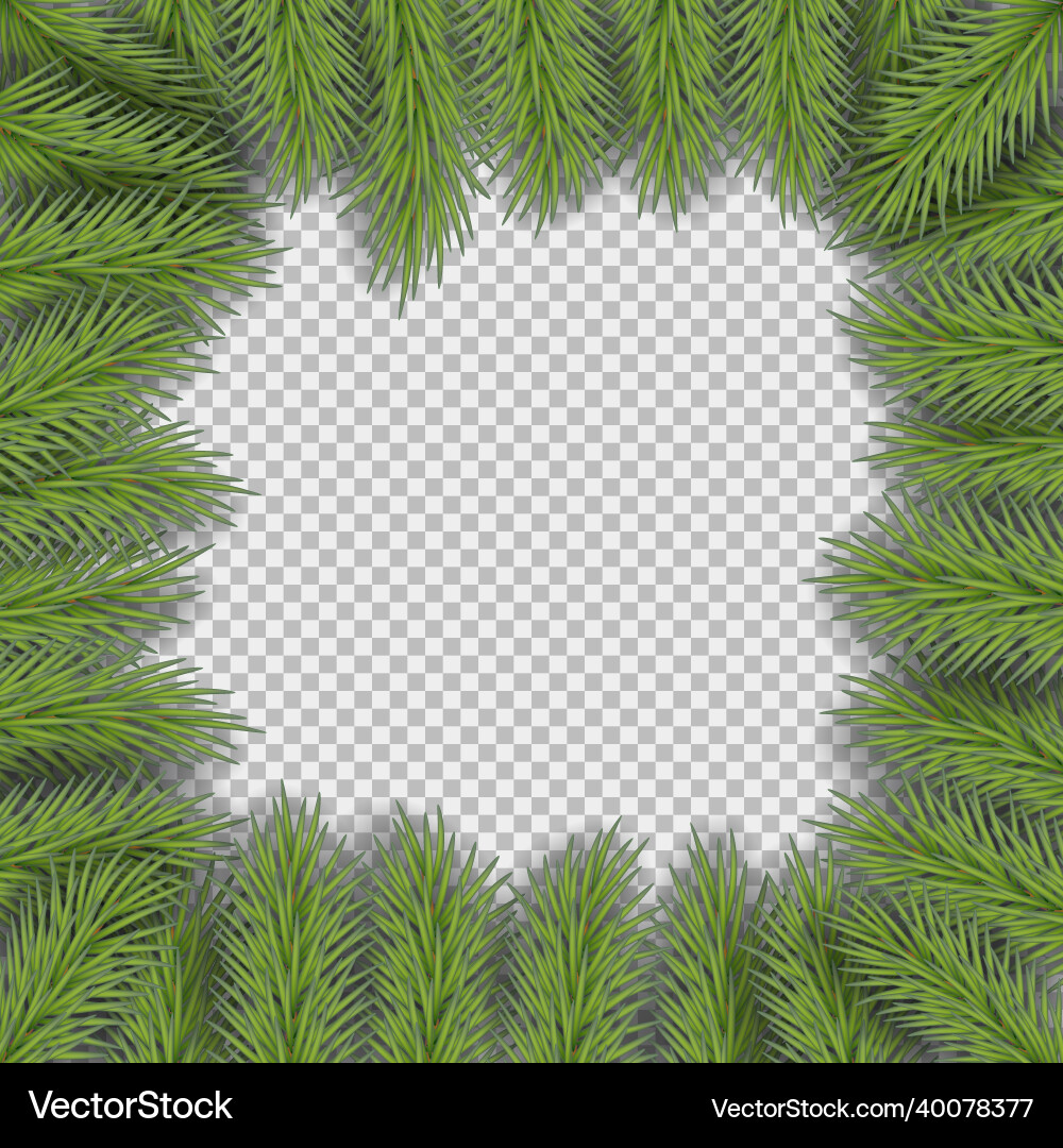 Christmas frame with pine branches space Vector Image