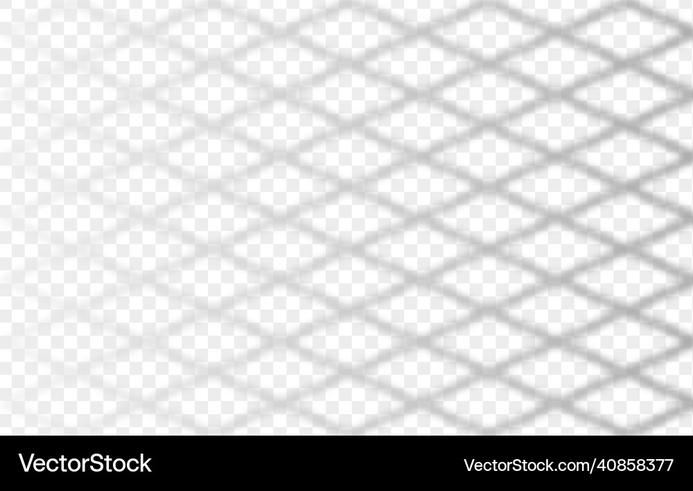 Overlay shadow of rabitz net fence reflection Overlay shadow of rabitz net fence reflection vector image