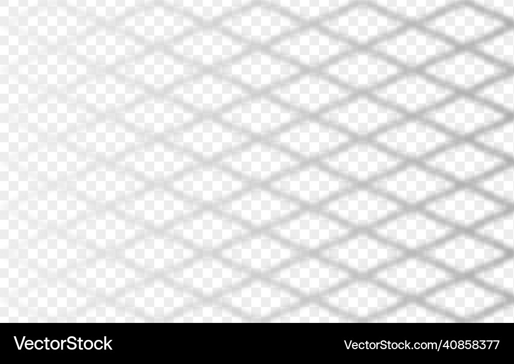 Overlay shadow of rabitz net fence reflection vector image