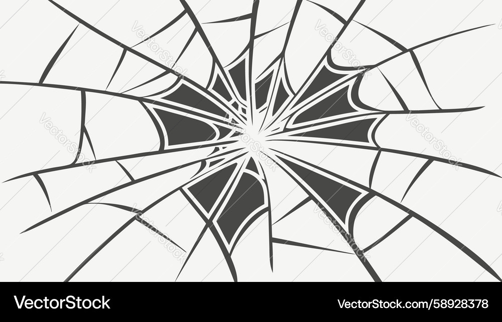 Concentric Spider Web Pattern Vector Image