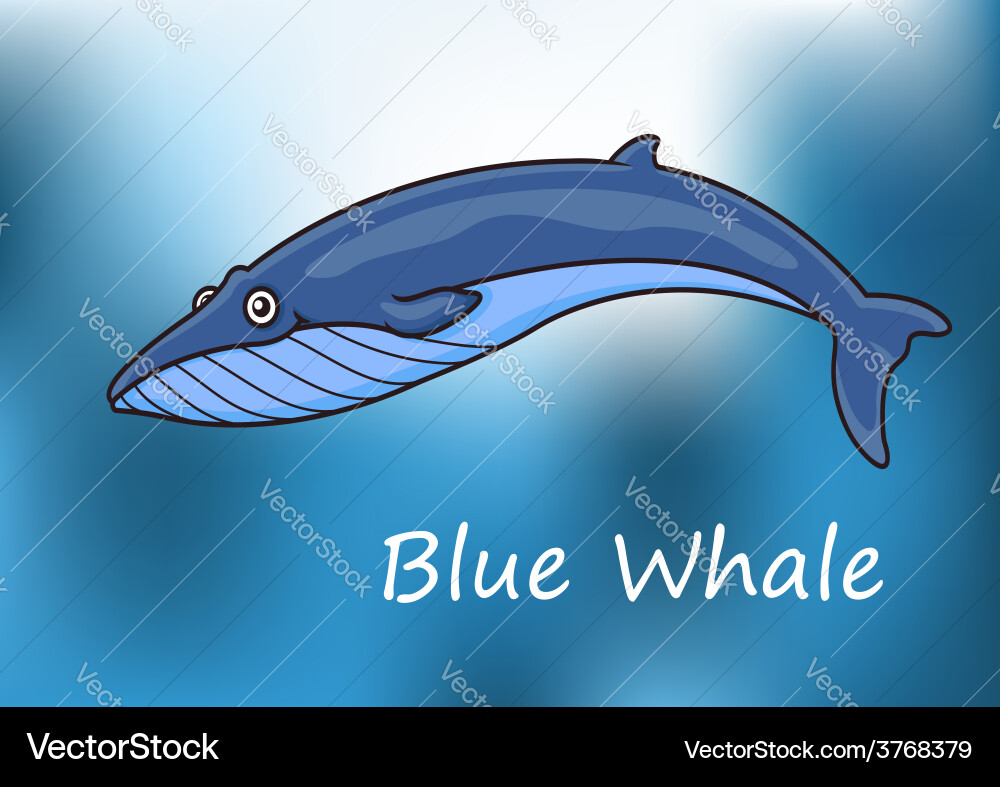 Cartoon blue whale swimming underwater – Royalty-Free Vector | VectorStock, image size:1000x787