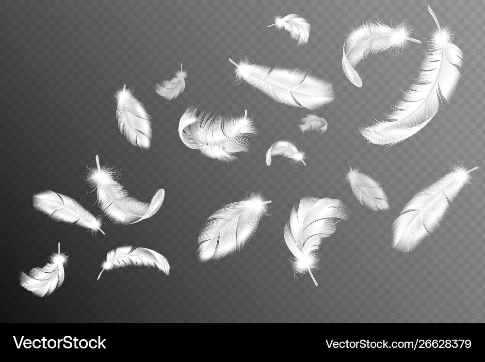 Flying feathers falling twirled fluffy realistic vector image