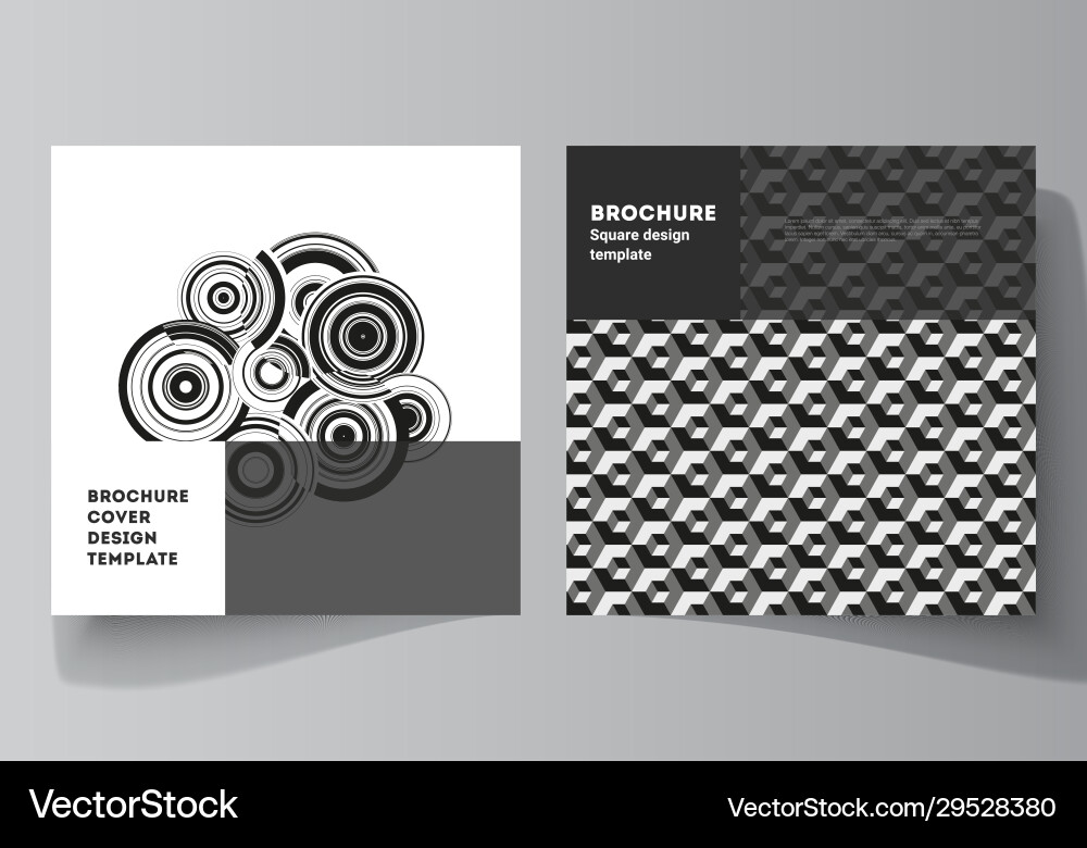 Minimal layout two square format vector image