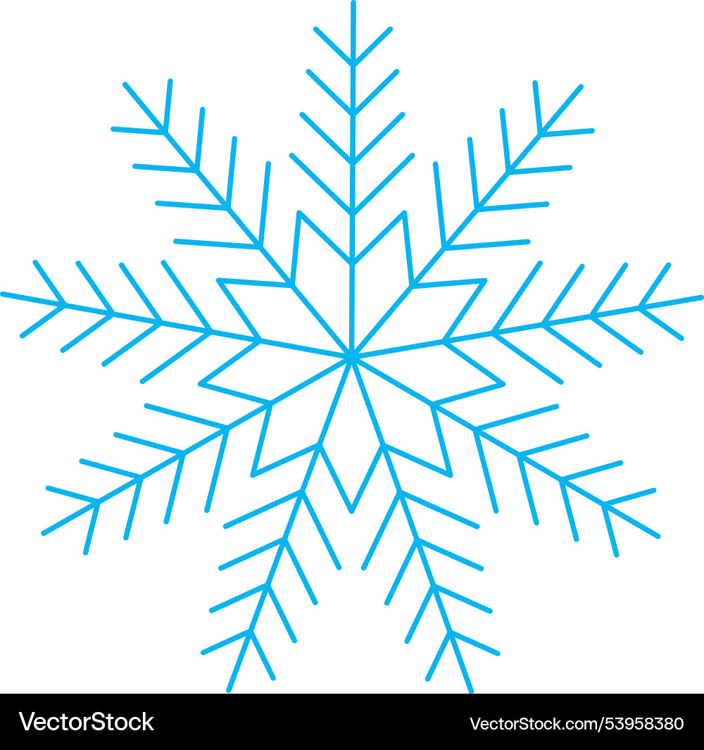 Snowflake on isolated background for design Snowflake on isolated background for design Vector Image