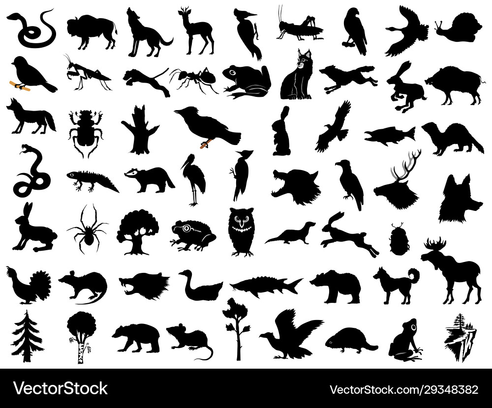 Große Set Silhouetten Tiere Pflanzen Große Set Silhouetten Tiere Pflanzen vektorbild
