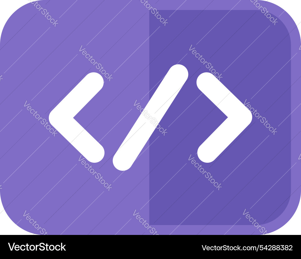 Special programming symbol of triangular icon Special programming symbol of triangular icon vector image