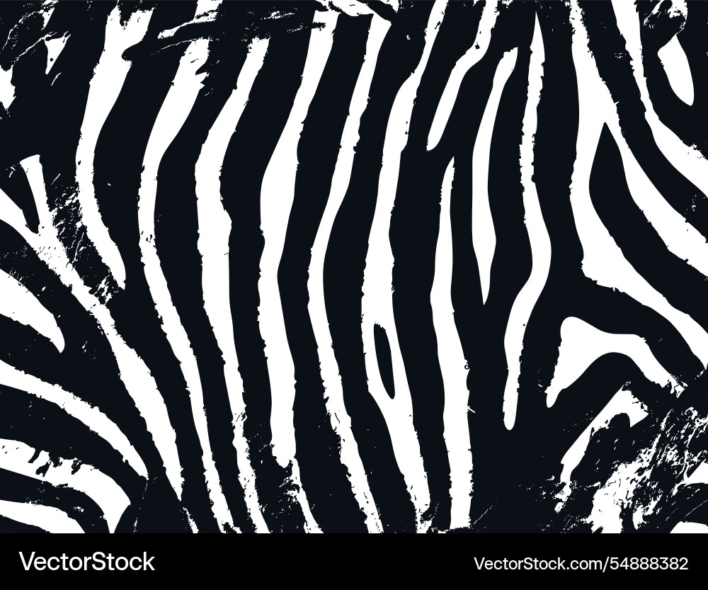 Zebra Print Texture vector image