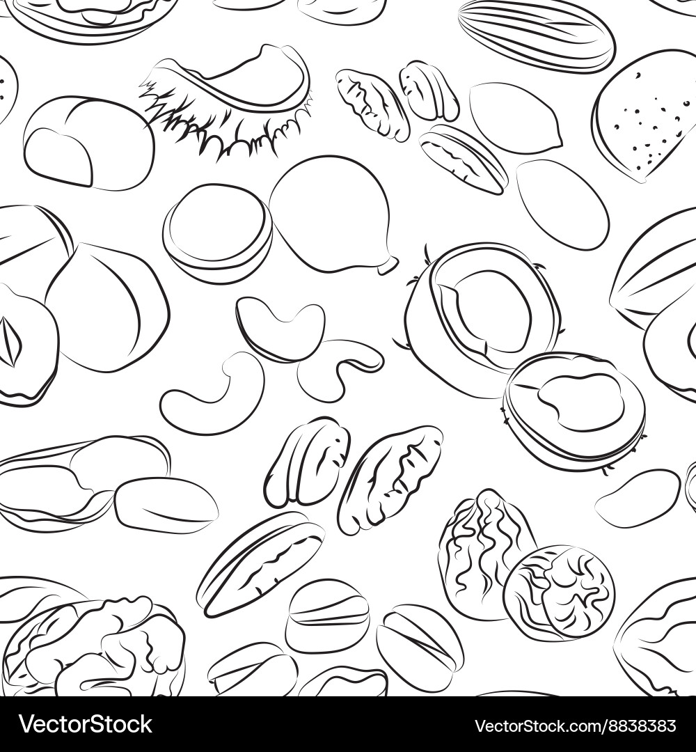 Collection of different nuts pattern Vector Image