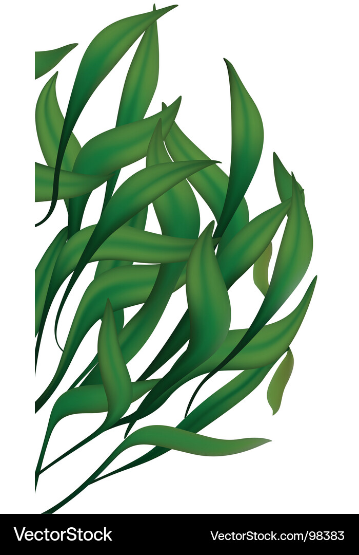 Lush Green Foliage Vector Image