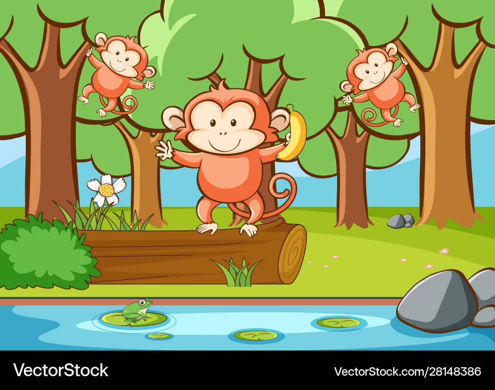 Scene with monkeys in forest Vector Image