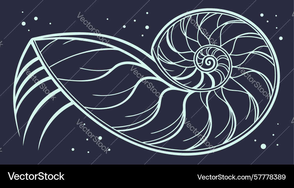 Stylized nautilus shell in cosmic pattern design vector image