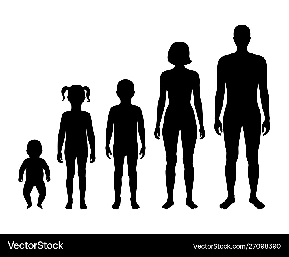 Family Silhouette - Man, Woman, Baby vector image