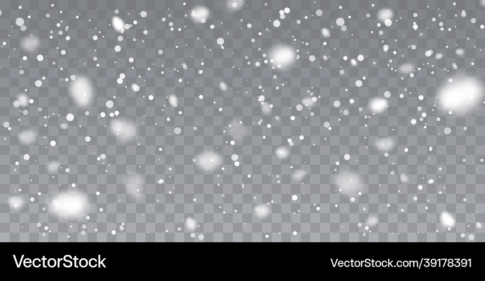 Christmas Snowflakes Falling Vector Image