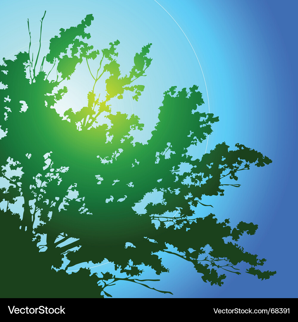 Spring Tree Silhouette Vector Image