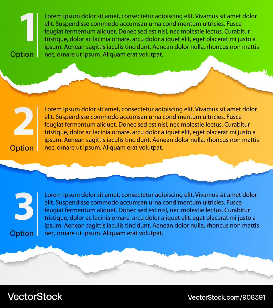 Torn paper progress option labels vector image