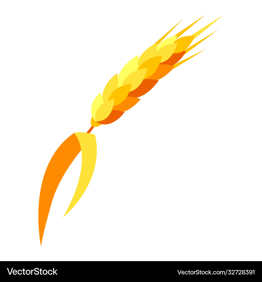 Wheat ear Royalty Free Vector Image - VectorStock