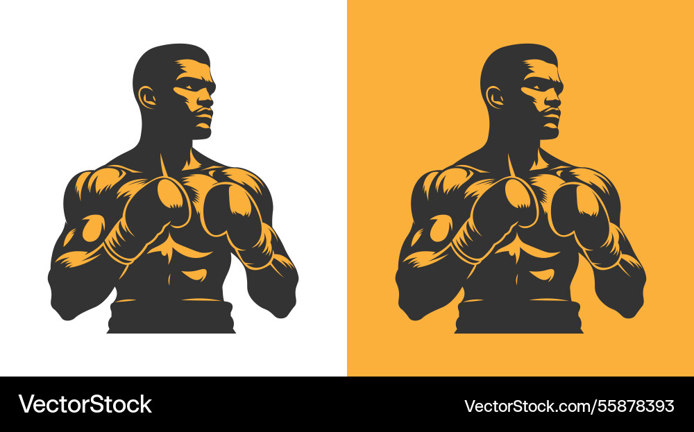 Design elements vector image