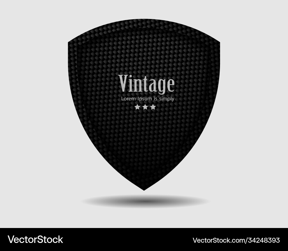 Metal shield with dark black geometric grid Metal shield with dark black geometric grid vector image