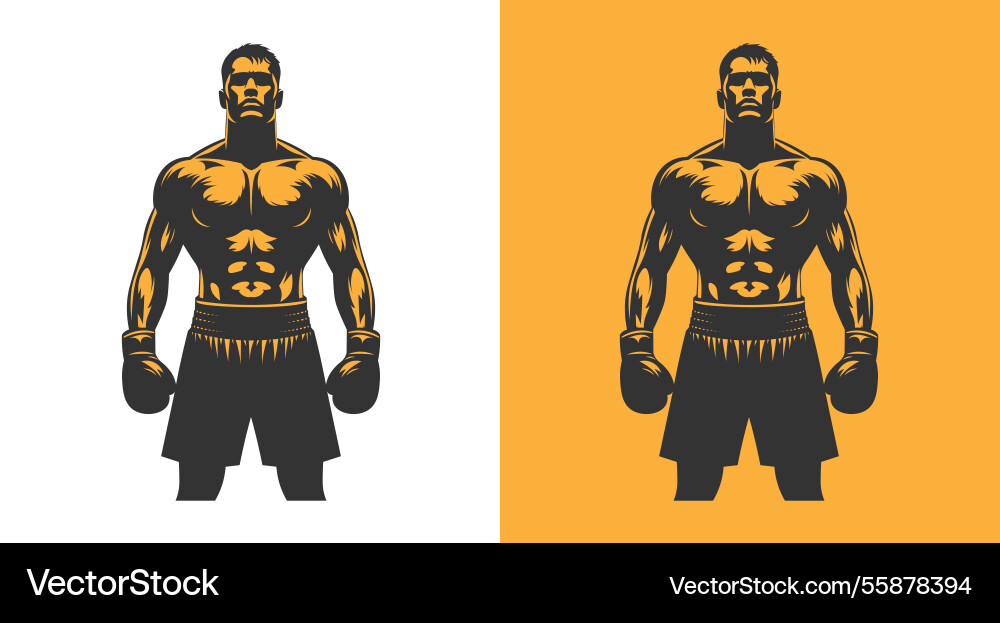 Design elements vector image