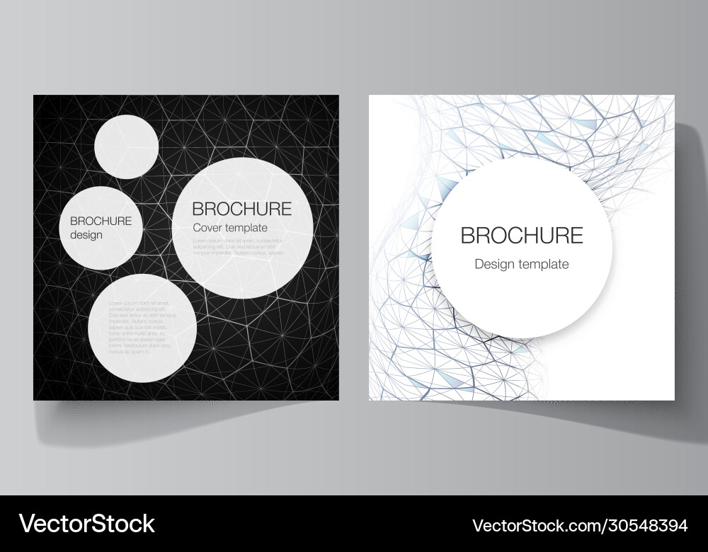 Layout two square format covers design Layout two square format covers design vector image