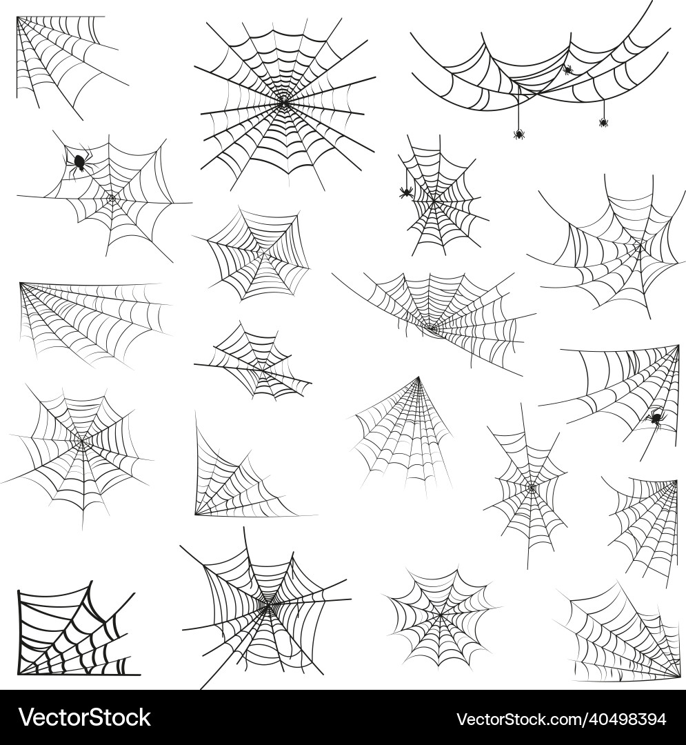 Spider web set vector image