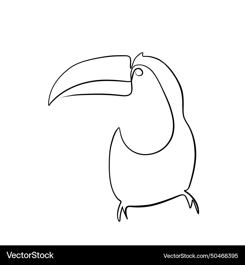 Continuous drawing of lines line art toucan Vector Image