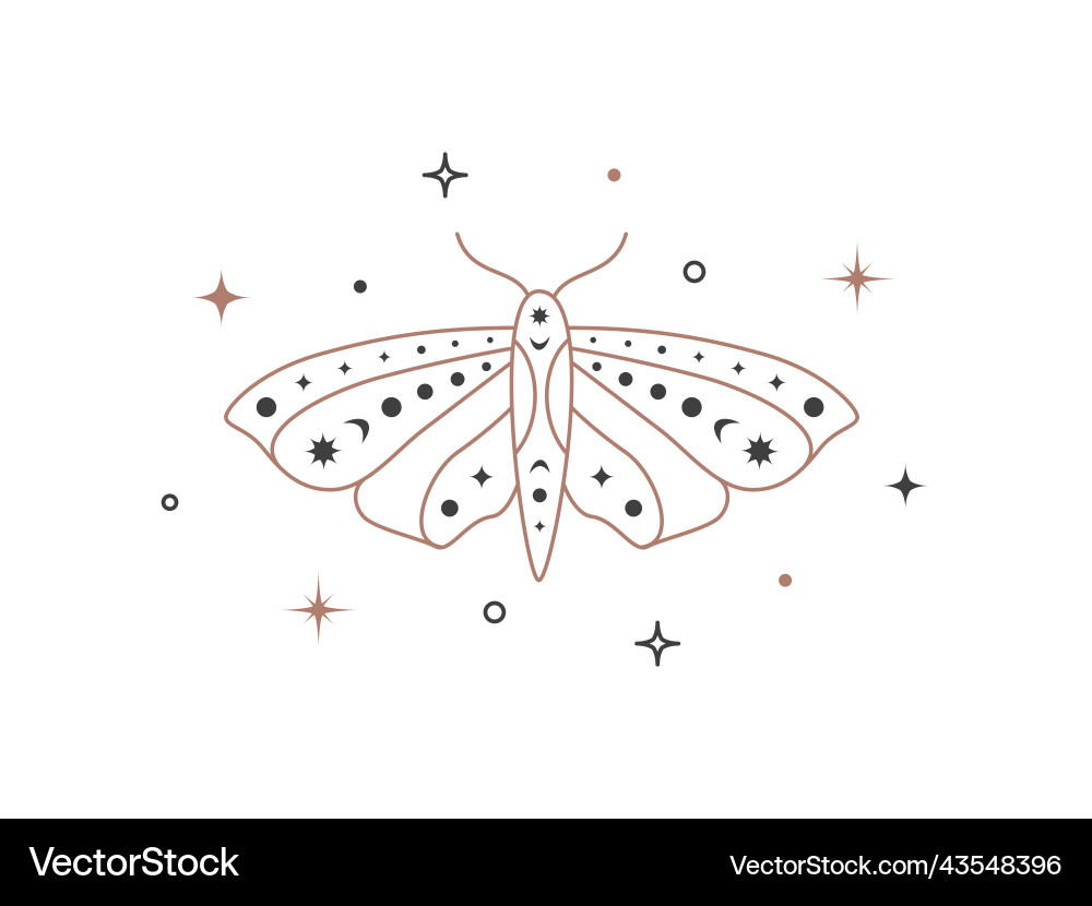 Mystical celestial outline moth with sparkles line vector image