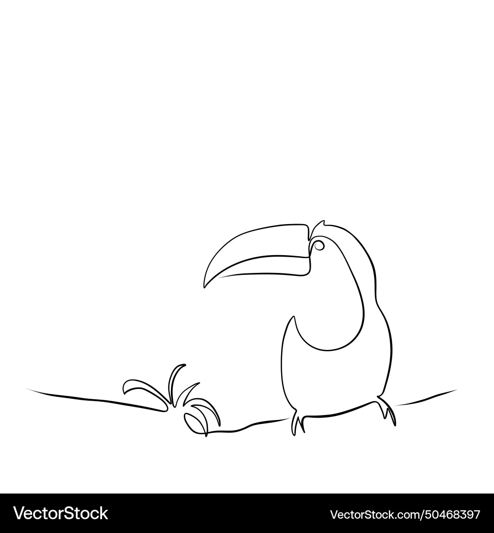 Continuous drawing of lines line art toucan Vector Image