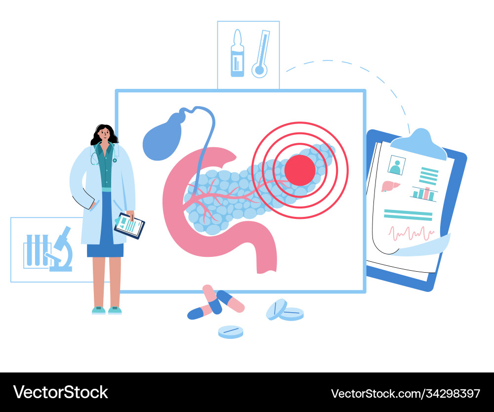 Pancreas logo concept vector image